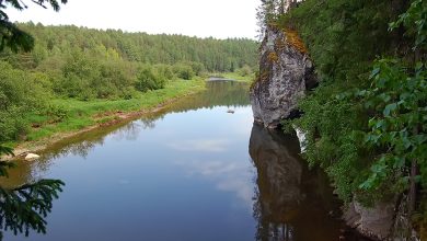 Photo of Ловля рыбы на платнике: простые приемы