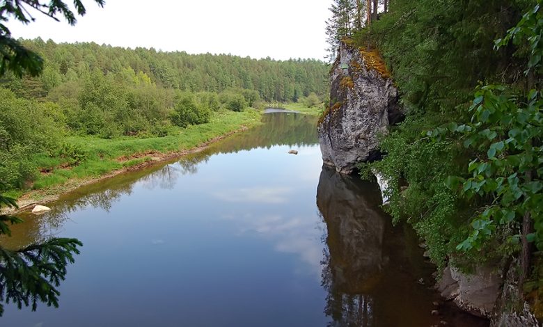 Photo of Ловля рыбы на платнике: простые приемы