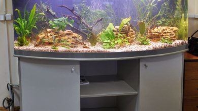 Photo of Ловля рыбы на платнике: простые приемы