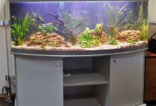 Photo of Ловля рыбы на платнике: простые приемы