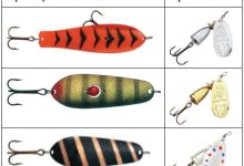 Photo of Топовые приманки для ловли леща