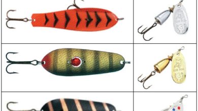 Photo of Топовые приманки для ловли леща