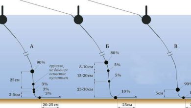 Photo of Рыбалка на мормышку: советы начинающим