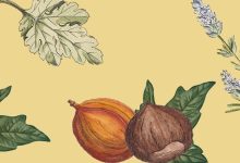 Photo of Рыбалка на лодке: особенности и рекомендации