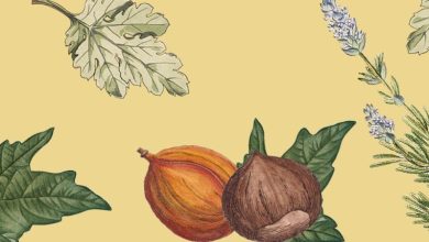 Photo of Рыбалка на лодке: особенности и рекомендации