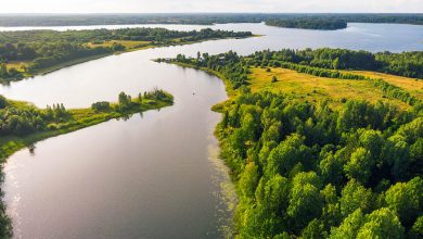 Photo of Лучшие места для рыбалки в лесу