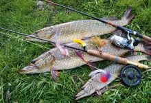 Photo of Идеальная погода для рыбалки