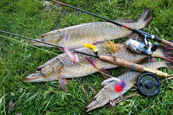 Photo of Идеальная погода для рыбалки