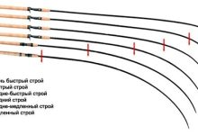 Photo of Основные виды рыбалки