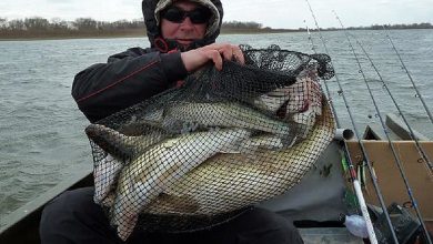 Photo of Рыбалка на жерлицы зимой