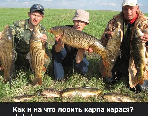 Photo of Рыбалка на фидер на озере