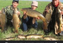 Photo of Рыбалка на фидер в озере