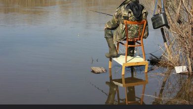 Photo of Рыбалка на фидер на реке