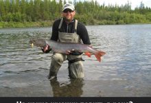 Photo of Рыбалка на фидер в реке