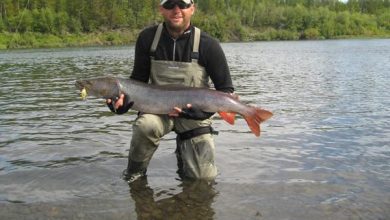 Photo of Рыбалка на фидер в реке