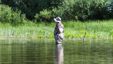 Photo of Благоустройство рыболовных мест