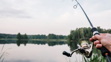 Photo of Секреты успешной рыбалки