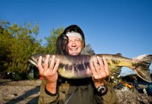 Photo of Ловля хищной рыбы на реке