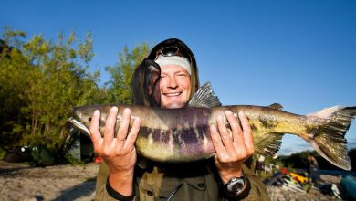 Photo of Ловля хищной рыбы на реке