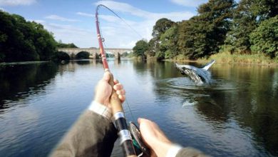 Photo of Тайны профессиональных рыбаков