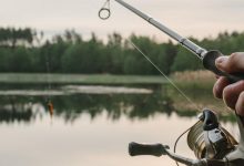 Photo of Подготовка к рыбалке весной