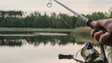 Photo of Подготовка к рыбалке весной