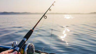 Photo of Польза рыбалки для здоровья