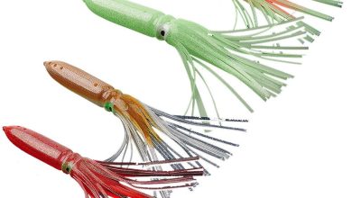 Photo of Секреты выбора правильной приманки