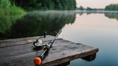 Photo of Секреты удачной рыбалки на реке