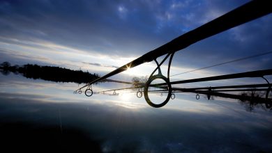 Photo of Влияние погоды на рыбалку