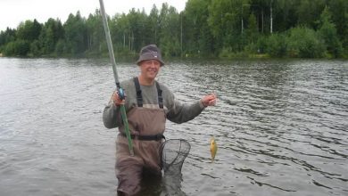 Photo of Как выбрать удочку