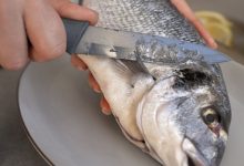 Photo of Очистка и приготовление улова