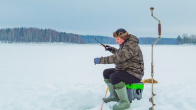 Photo of Как выбрать правильную наживку