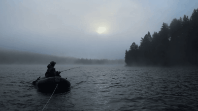 Photo of 10 советов по выбору правильного места для рыбалки