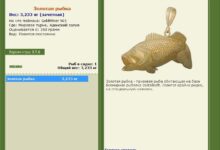 Photo of Золотая рыбка: миф или реальность?