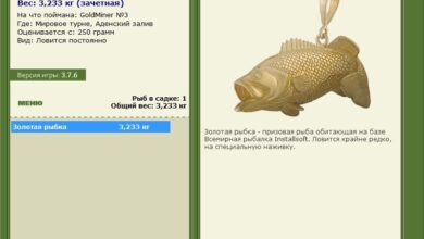 Photo of Золотая рыбка: миф или реальность?