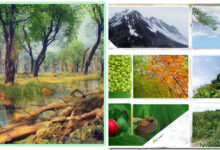 Photo of 5 полезных советов по технике ловли хищной рыбы