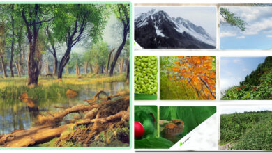 Photo of 5 полезных советов по технике ловли хищной рыбы