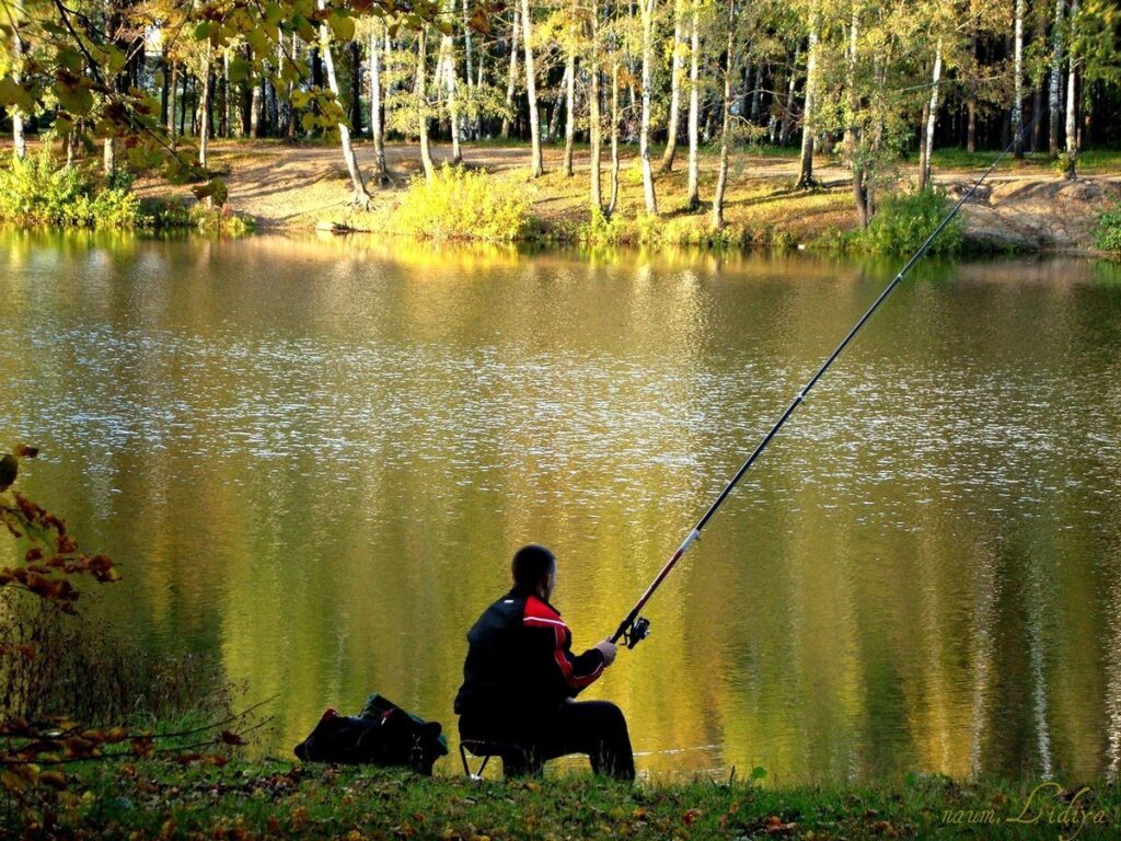 Фото 2 — Увлекательное хобби: как начать заниматься рыбалкой