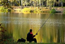 Photo of Увлекательное хобби: как начать заниматься рыбалкой