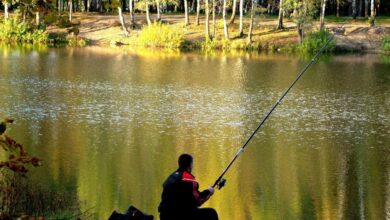 Photo of Увлекательное хобби: как начать заниматься рыбалкой