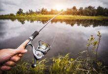 Photo of Места для рыбалки: где можно поймать самую вкусную рыбу