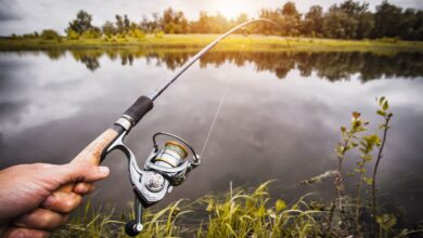 Photo of Места для рыбалки: где можно поймать самую вкусную рыбу