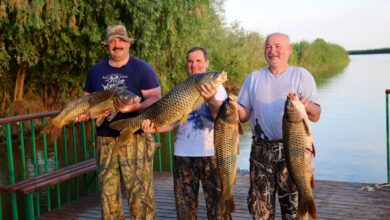 Photo of Лучшие места для рыбной ловли в вашем регионе