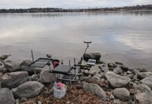 Photo of Как выбрать правильное время для рыбалки