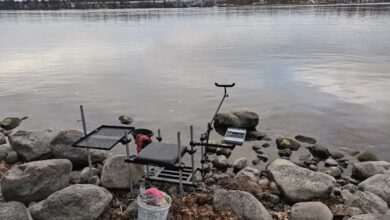Photo of Как выбрать правильное время для рыбалки