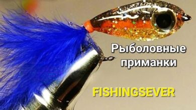 Photo of Идеальное место для рыбной ловли в лесном массиве