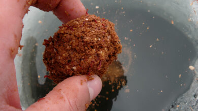 Photo of 10 советов по выбору правильной прикормки для рыбалки