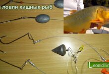 Photo of 5 советов по выбору правильного поводка для рыбалки
