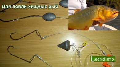 Photo of 5 советов по выбору правильного поводка для рыбалки
